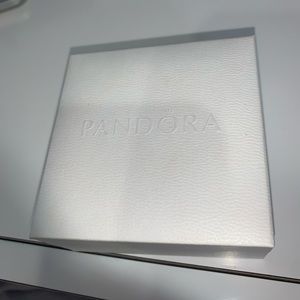 Brand new birthday Pandora Bracelet